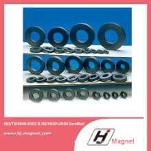 Customized Factory Ring Ferrite for Motor Magnet